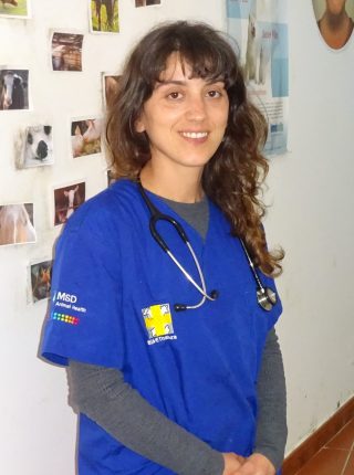Clínica Veterinária madeira funchal