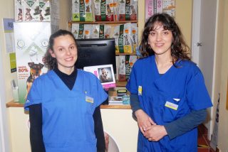 veterinários consultas domicilios