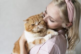 plano veterinário para cães e gatos