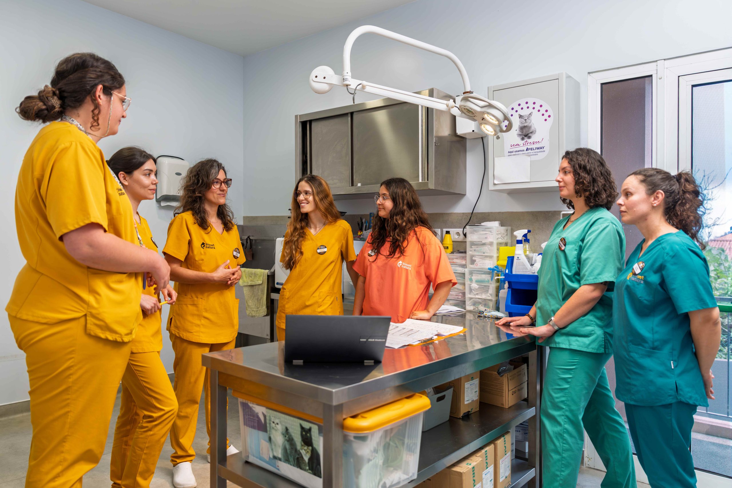 veterinário domicilio